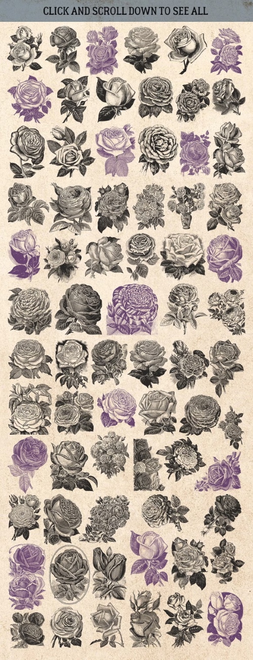 Vintage Bundle 1327728