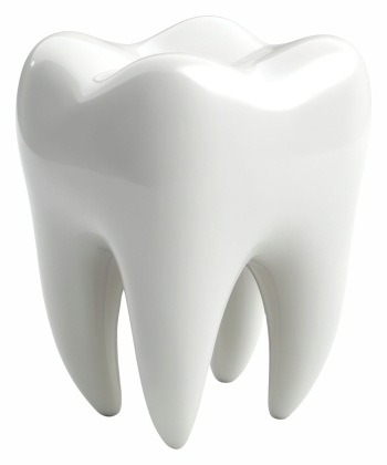 Dentistry and Dental Treatment Technology 35xPNG Dentistry and Dental Treatment Technology 35xPNG