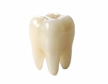 Dentistry and Dental Treatment Technology 35xPNG Dentistry and Dental Treatment Technology 35xPNG