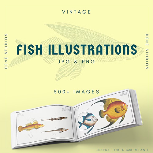 CM - 500+ Vintage Fish Illustrations 6418788