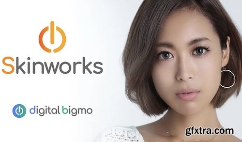 digitalbigmo Skinworks 2026.1.1