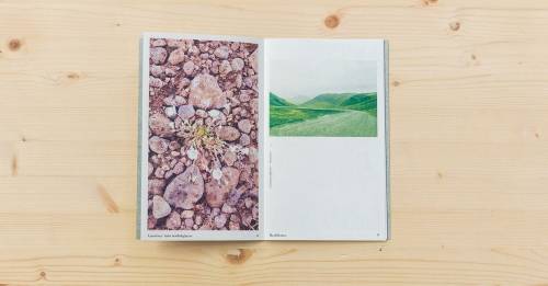 'Domestika - Risograph Technique: Design a Self-published Editorial Project'