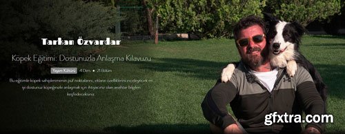 Neo Skola - Köpek Eğitimi: Dostunuzla Anlaşma Kılavuzu