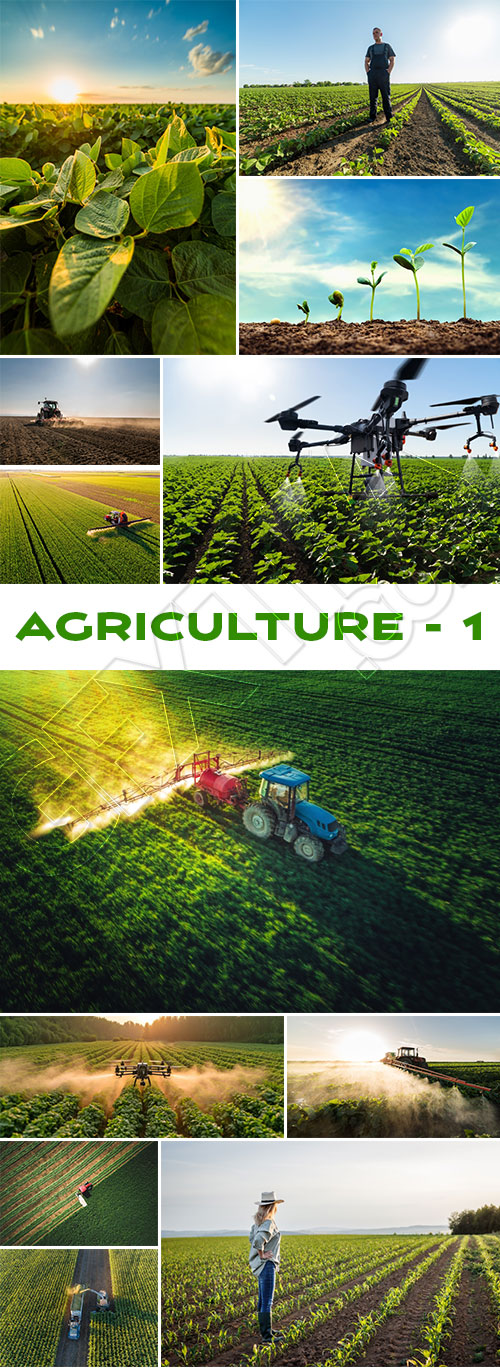 Agriculture #1, 33xJPEG