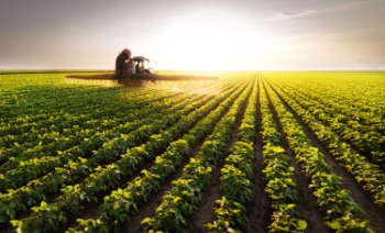 Agriculture #1, 33xJPEG