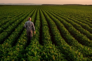 Agriculture #1, 33xJPEG