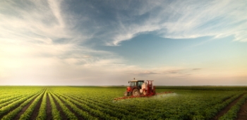 Agriculture #1, 33xJPEG