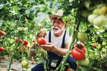 Agriculture #1, 33xJPEG