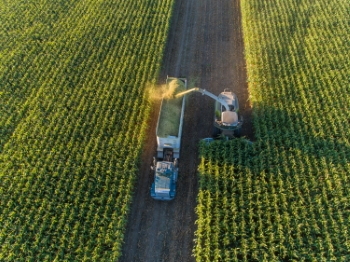 Agriculture #1, 33xJPEG