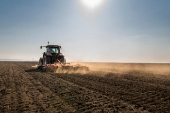 Agriculture #1, 33xJPEG