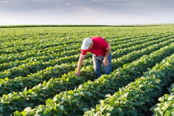 Agriculture #1, 33xJPEG