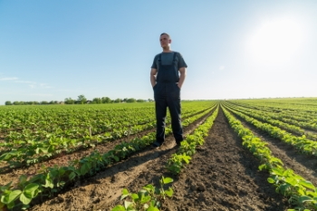 Agriculture #1, 33xJPEG