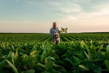 Agriculture #1, 33xJPEG