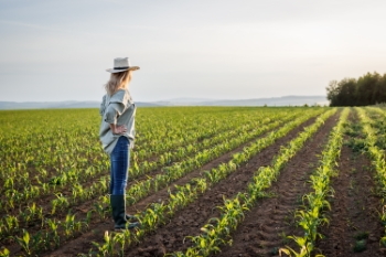 Agriculture #1, 33xJPEG