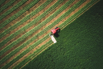 Agriculture #1, 33xJPEG