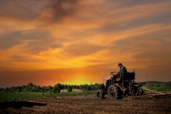 Agriculture #1, 33xJPEG