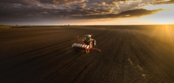 Agriculture #1, 33xJPEG