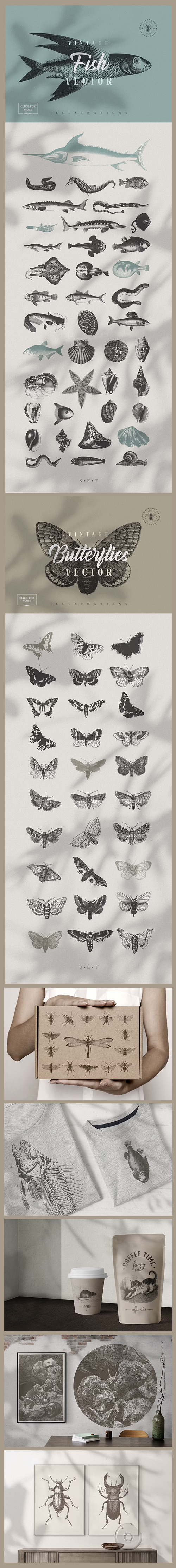Vintage Animals Bundle 300+ EPS PNG 6524987