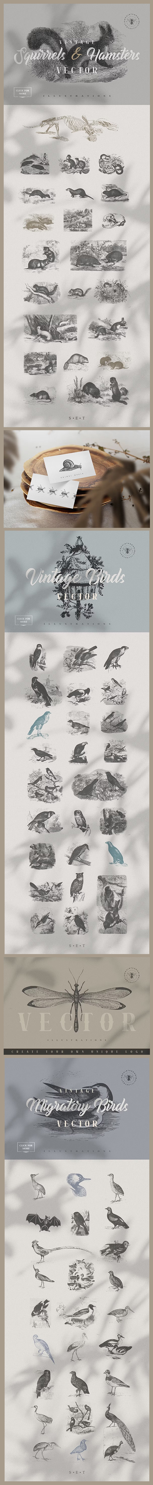 Vintage Animals Bundle 300+ EPS PNG 6524987