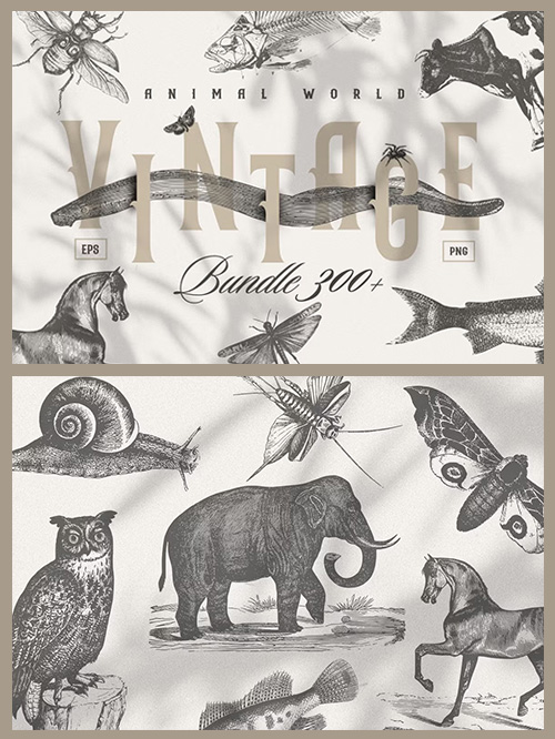 Vintage Animals Bundle 300+ EPS PNG 6524987