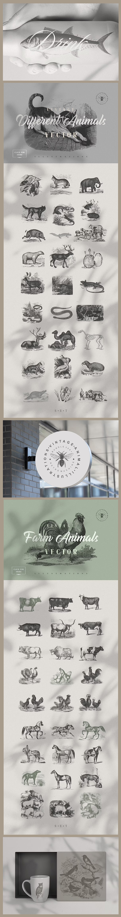 Vintage Animals Bundle 300+ EPS PNG 6524987