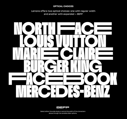 Lemon Typeface - 18 Styles & Variable