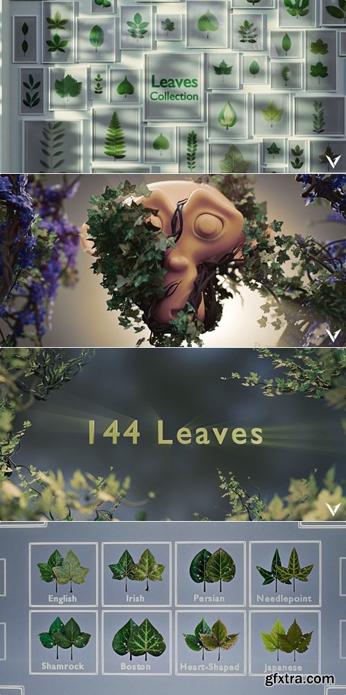 SuperhiveMarket - Leaves Collection
