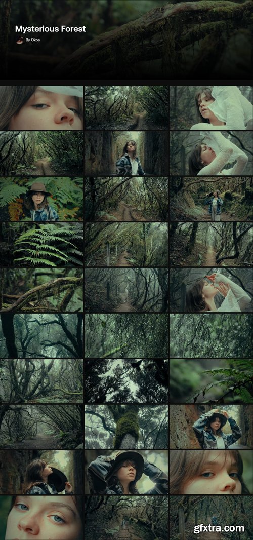 Artlist - Mysterious Forest - 4K ProRes Collections