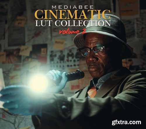 Mediabee - MEDIABEE CINEMATIC LUTS Vol. 2