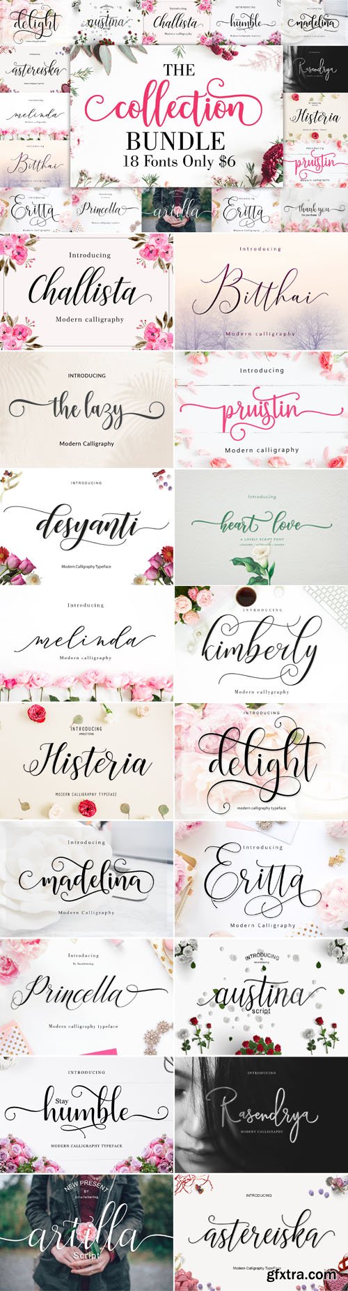 The Collection Bundle - 18 Premium Fonts