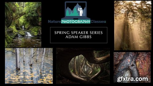 Naturephotocollective - Adam Gibbs - Forest Photography