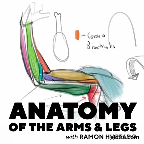 Underpaint Academy - Ramon Hurtado: Anatomy of the Arms and Legs Videos