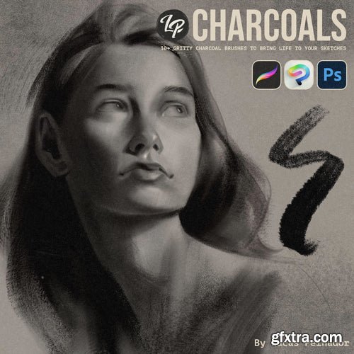 Lucas Peinador – LP Charcoal Brushes