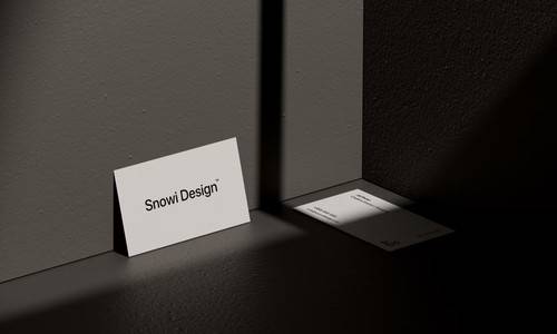 'Creative Market - Shadow Business Card Mockup Pack'