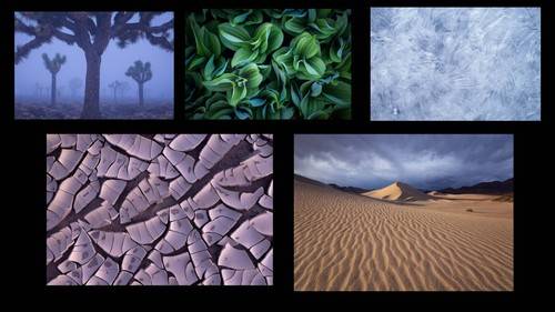 'Nature Photography Collective - $10.00 USD'