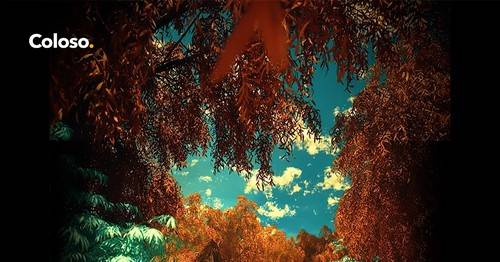 'Coloso - Easily Build Surreal Nature Scenes With C4D & Octane' 'Coloso - Easily Build Surreal Nature Scenes With C4D & Octane'