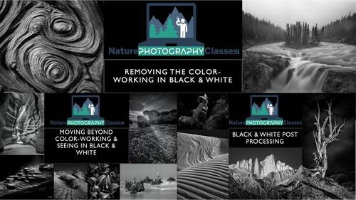 'Nature Photography Collective - Moving into a Black & White World'