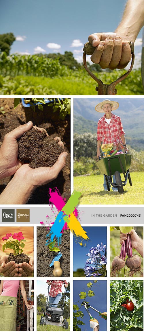 Veer Fancy FAN2000745 In The Garden 100xJPG