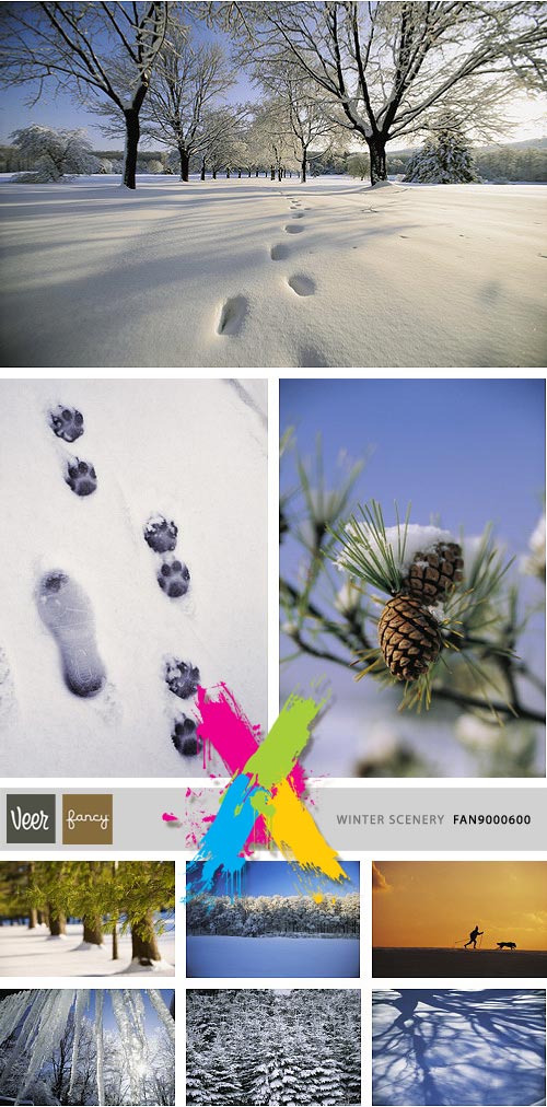 Veer Fancy FAN9000600 Winter Scenery