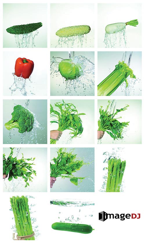 ImageDJ Muse MU019 High-Speed Photo - Vegetables