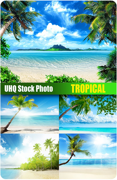 Stock Photo - Tropical