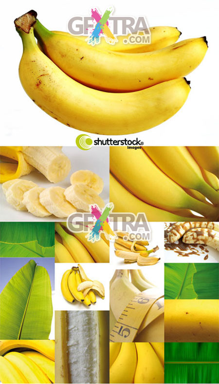 Shutterstock Bananas HQ
