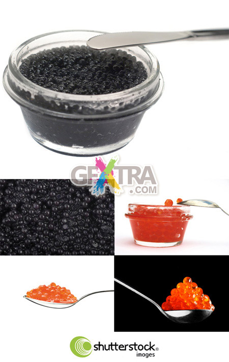 Shutterstock Caviar HQ