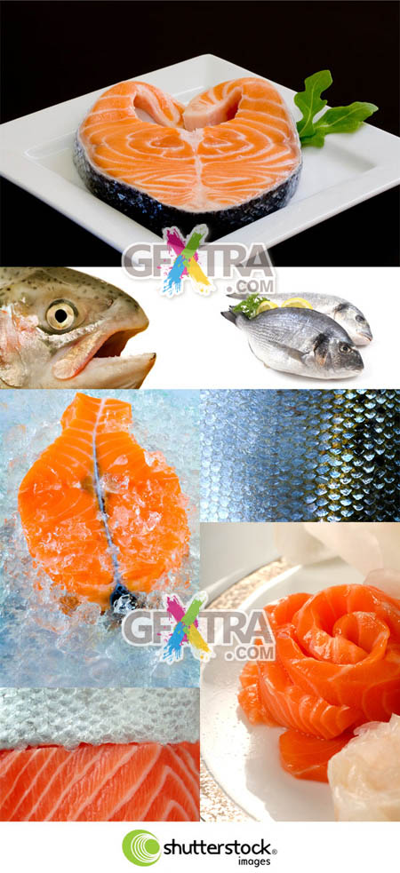 Shutterstock Fresh Fish HQ
