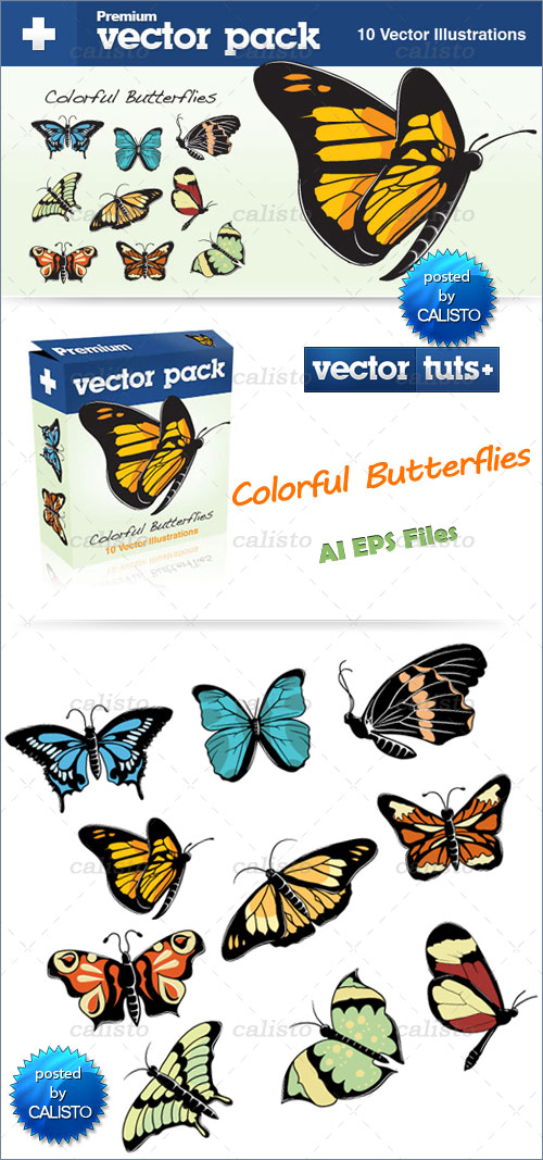 Premium Vector Pack – Colorful Butterflies