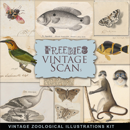 Scrap-kit - Vintage Zoological Illustrations