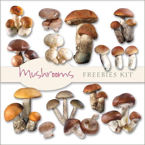 Scrap-kit - Mushrooms Images #1