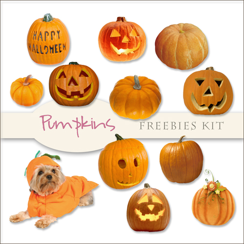 Scrap-kit - Pumpkins Images #1