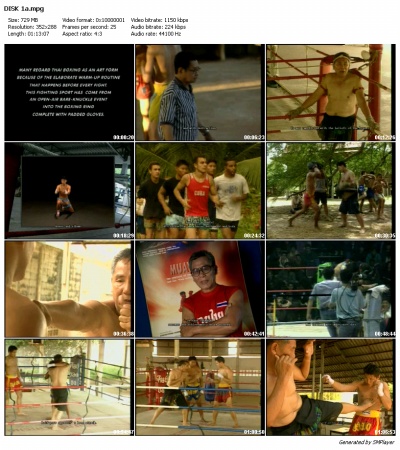 The Art Of Muay Thai - Learn The Art Of Muay Thai On Your Own