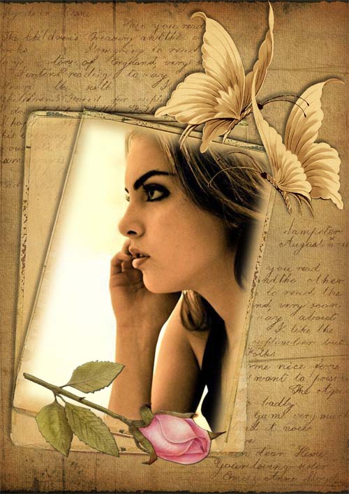 Vintage frame with rose and butterflies - Tenderness